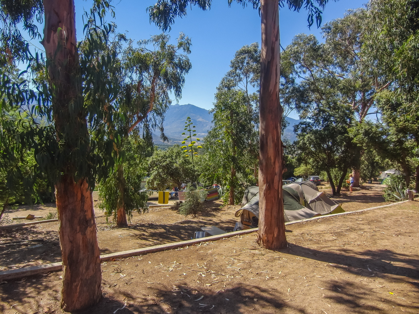 Camping Monte Ortu
