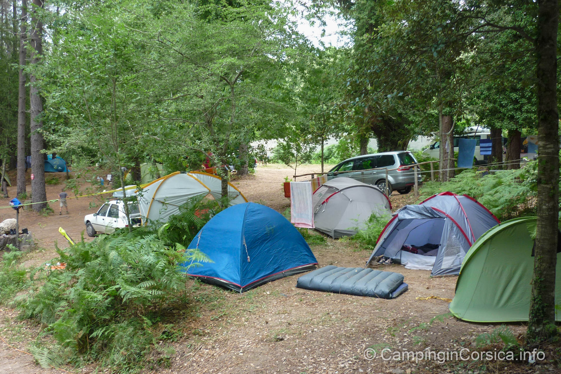 Camping Bavella Vista