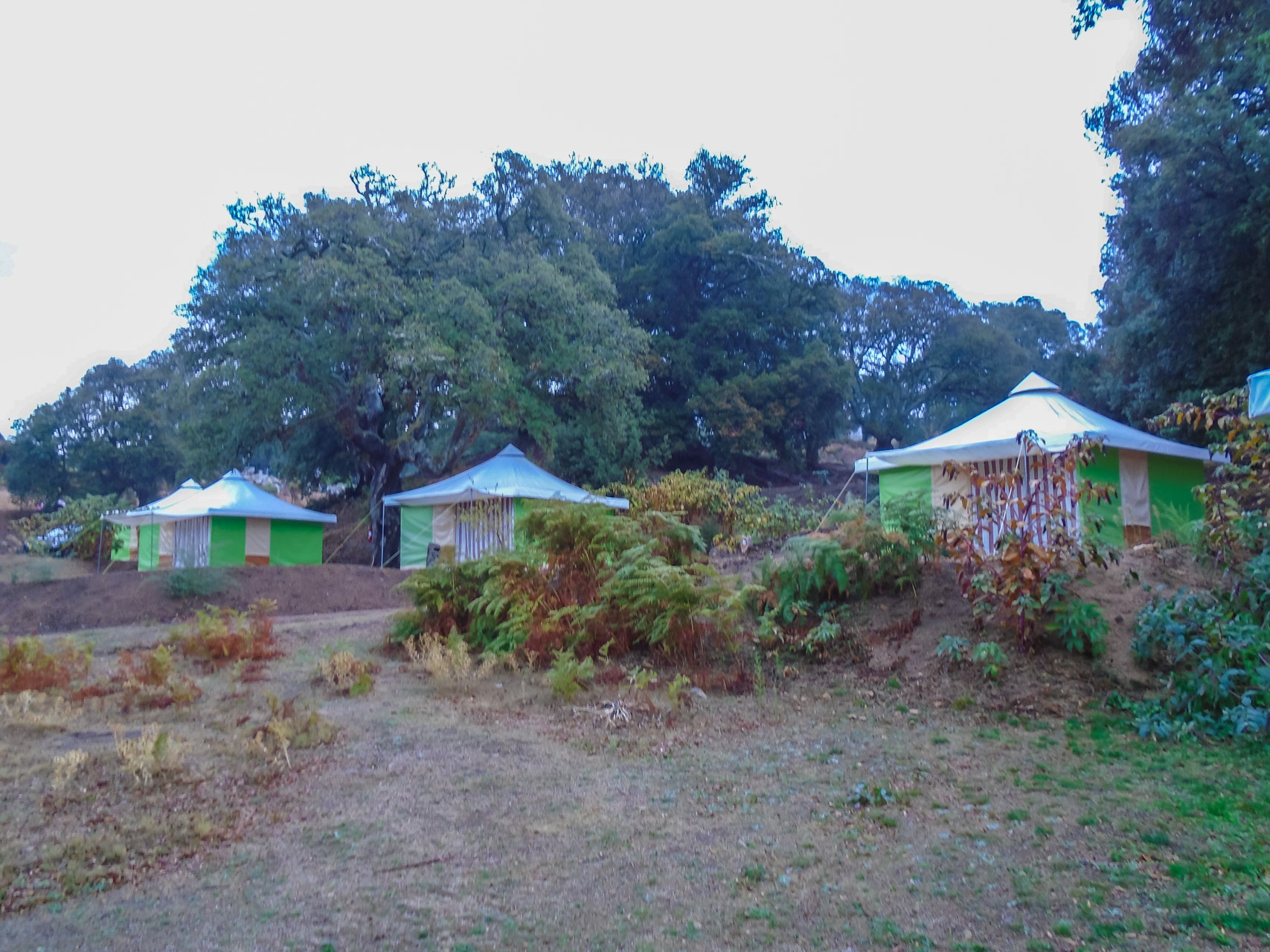 Camping I Suvari