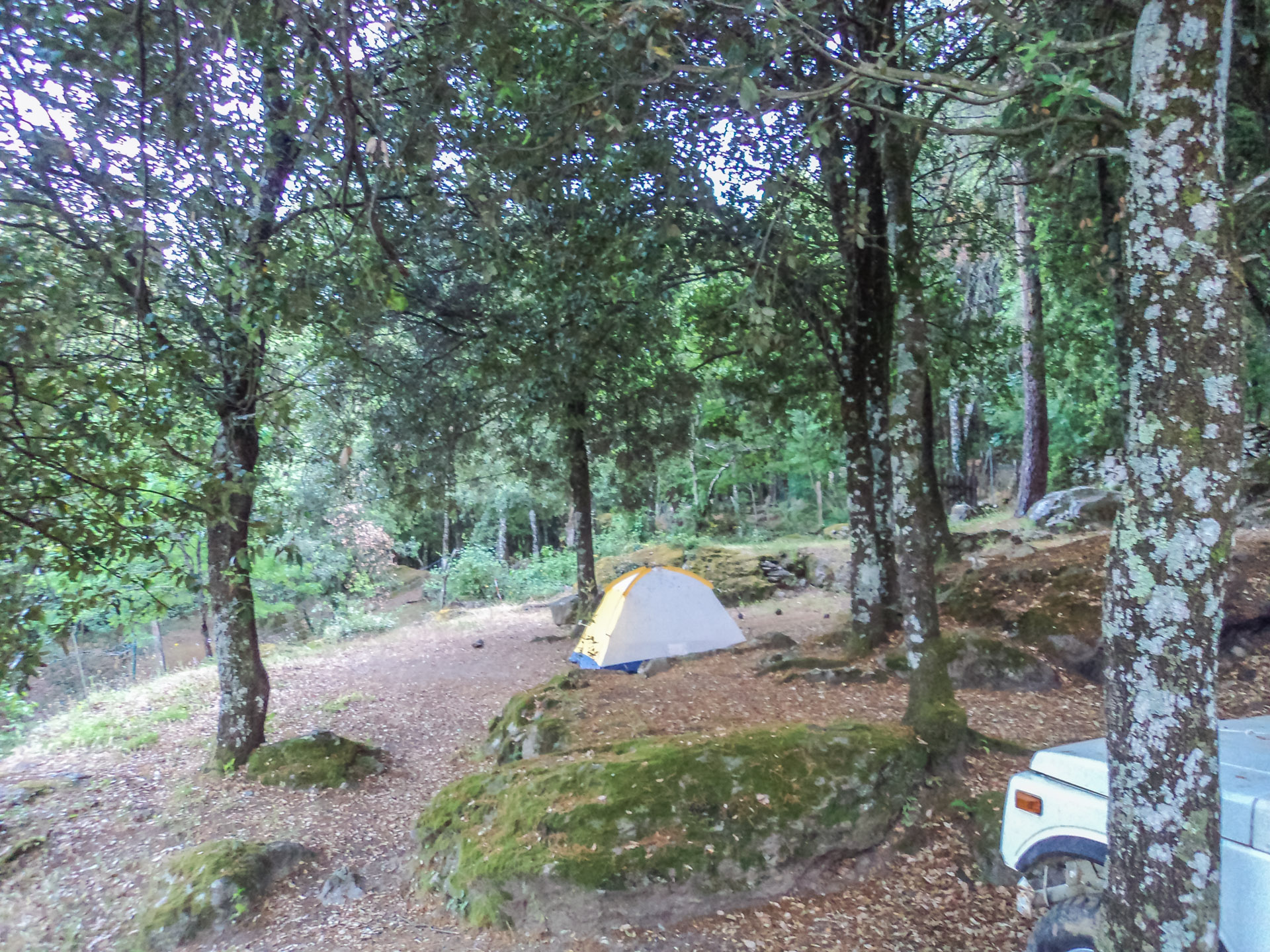Camping U Tavignanu